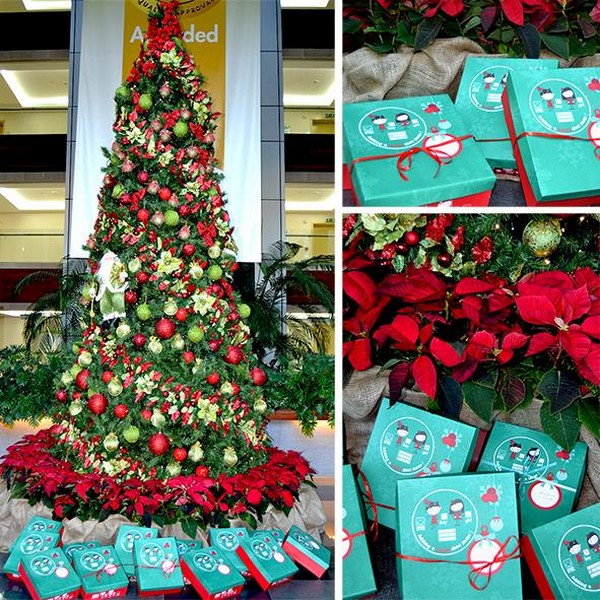Bellevue Medical Center welcomes Christmas with Smile in a Box